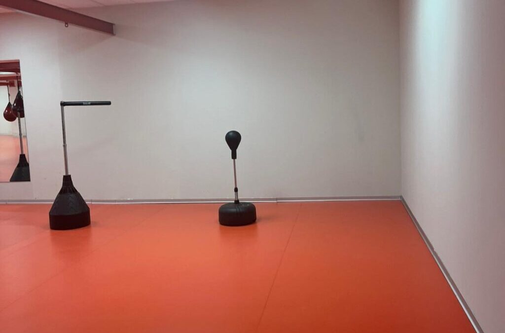 El Ayuntamiento aporta a Logroño Deporte 6,3 millones de euros para cubrir su déficit